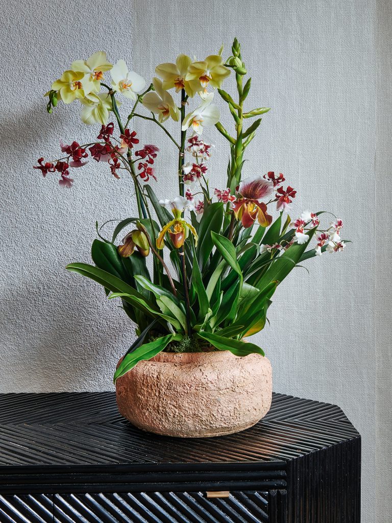 flowers-5-1