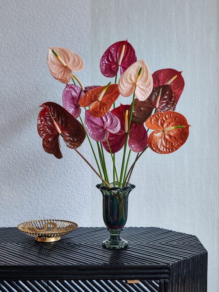 flowers-6-1